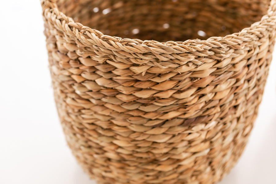 Twisted Leaf Hogla Basket Medium